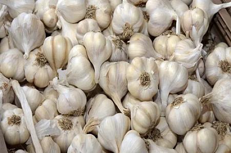 Sarımsağı soyuducuda 