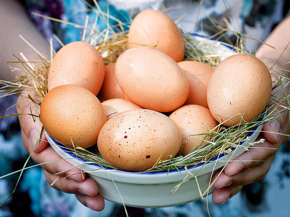 Yumurta niyə bahalaşır? - 