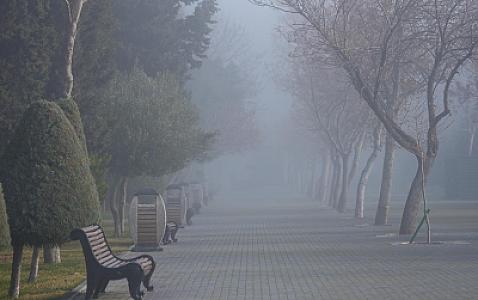 Sabah hava necə olacaq? 