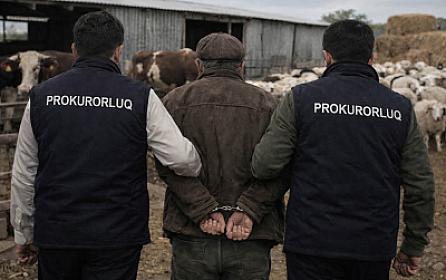 Çobanlar yarım milyonluq cinayətə görə - 