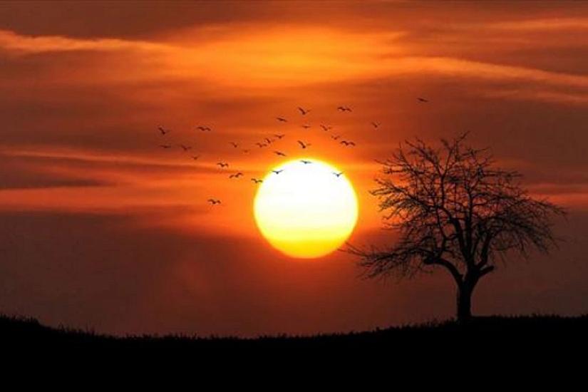 Dünyada 2025-ci il qeydlərə görə ən isti