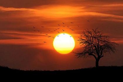 Dünyada 2025-ci il qeydlərə görə ən isti