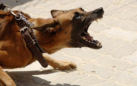 Balaxanıda 1 ayda 65 nəfəri 