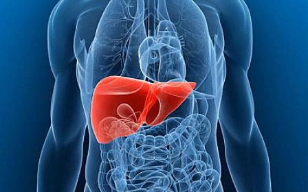 Qaraciyəri toksinlərdən təmizləyən təbii vasitə