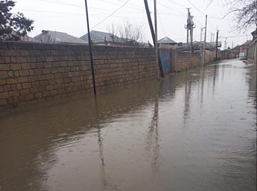 Masallı rayonunda kəndi su basdı – 