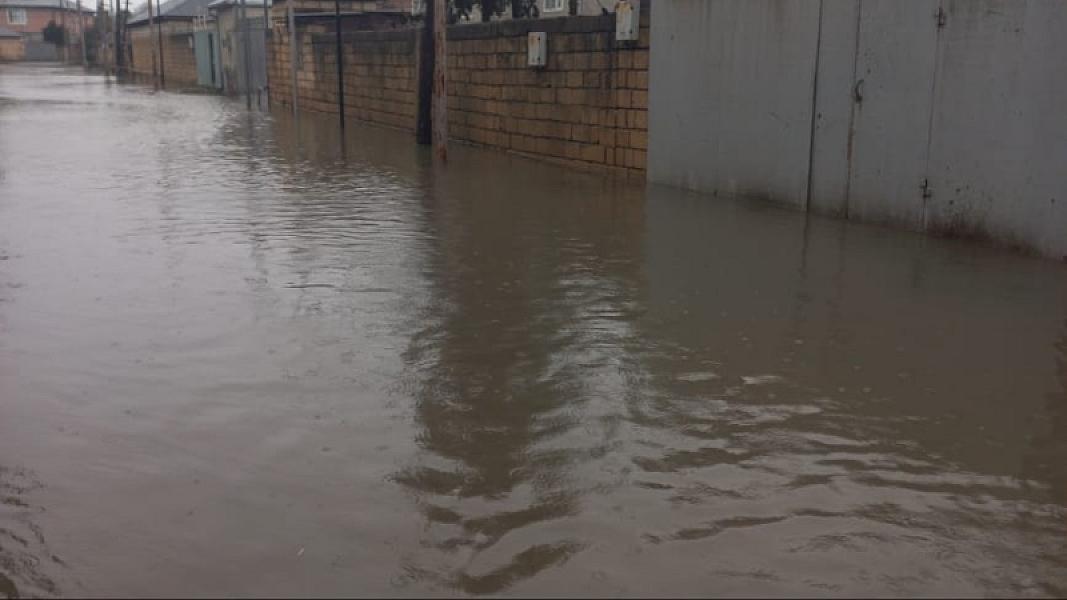 Masallı rayonu Mollaoba kəndi - 19-01-2026 (12)