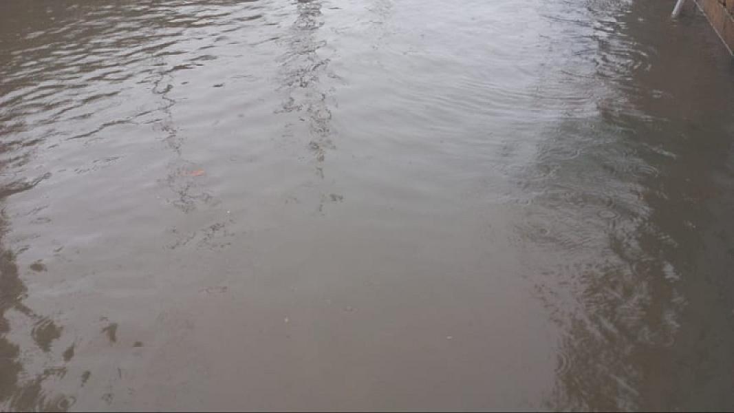 Masallı rayonu Mollaoba kəndi - 19-01-2026 (13)