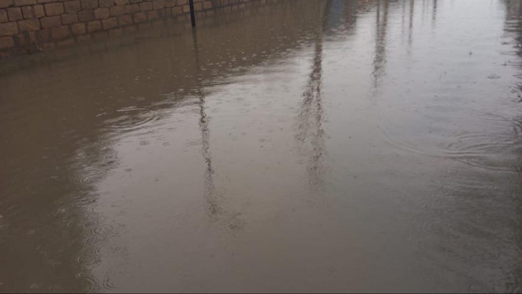 Masallı rayonu Mollaoba kəndi - 19-01-2026 (11)