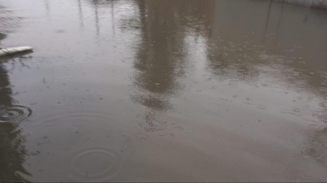 Masallı rayonu Mollaoba kəndi - 19-01-2026 (9)