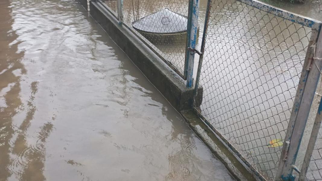 Masallı rayonu Mollaoba kəndi - 19-01-2026 (10)