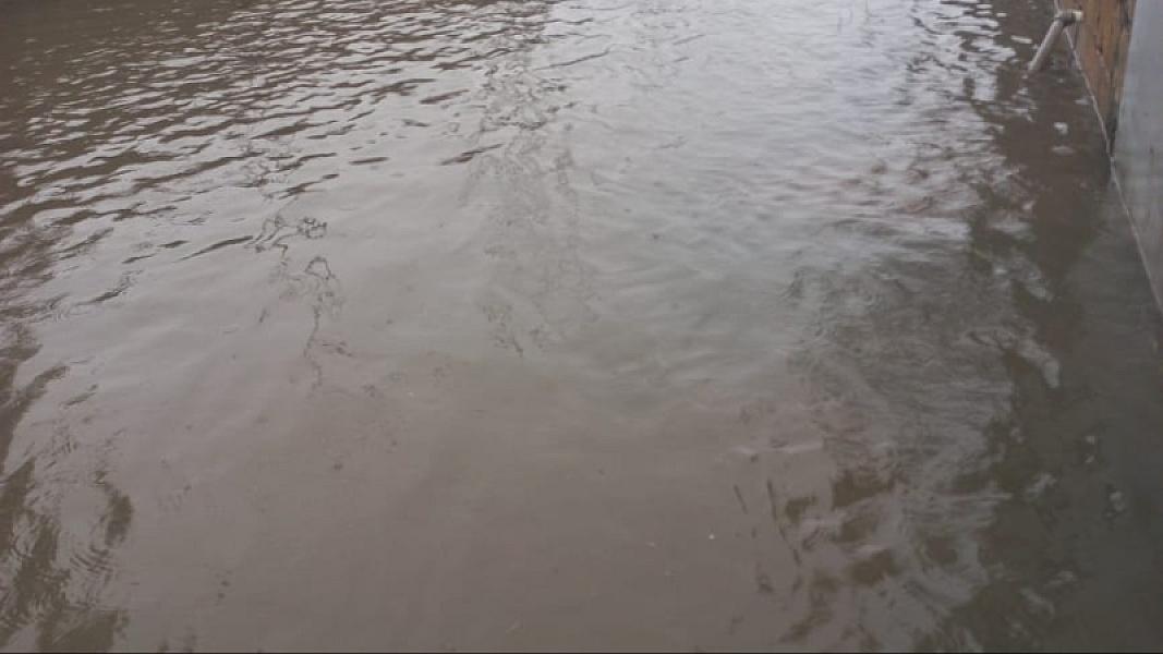 Masallı rayonu Mollaoba kəndi - 19-01-2026 (8)