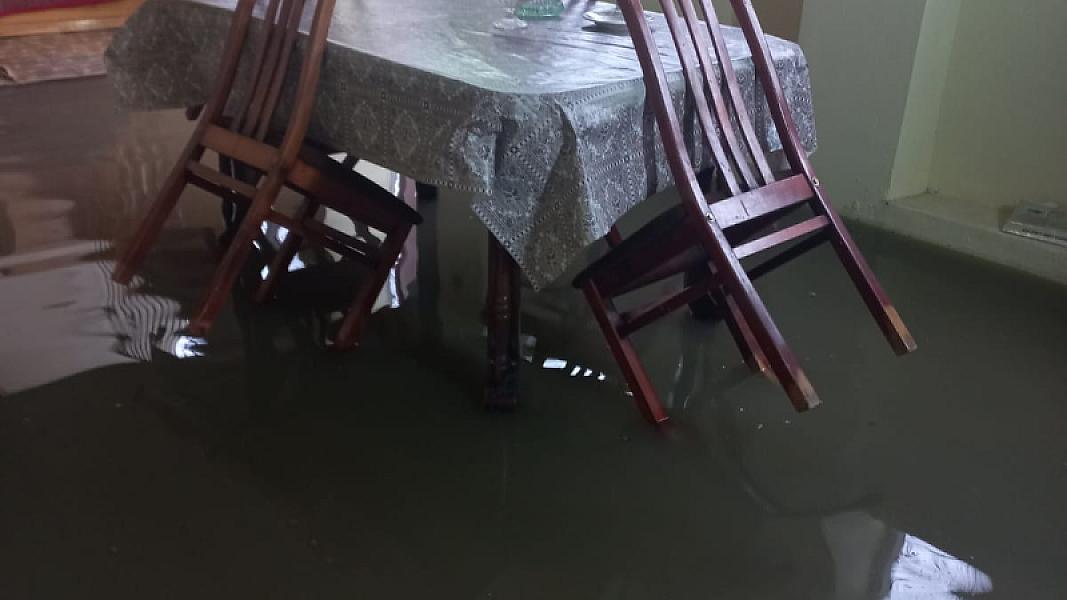 Masallı rayonu Mollaoba kəndi - 19-01-2026 (6)