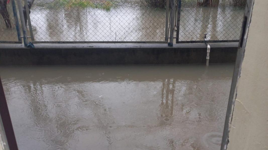 Masallı rayonu Mollaoba kəndi - 19-01-2026 (5)