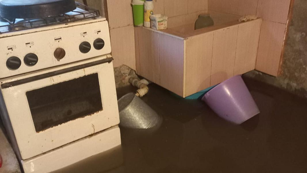 Masallı rayonu Mollaoba kəndi - 19-01-2026 (4)