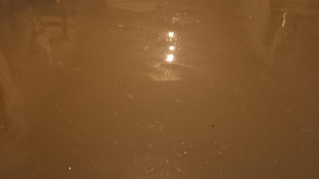 Masallı rayonu Mollaoba kəndi - 19-01-2026 (3)