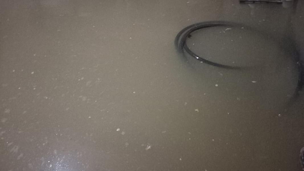 Masallı rayonu Mollaoba kəndi - 19-01-2026 (1)