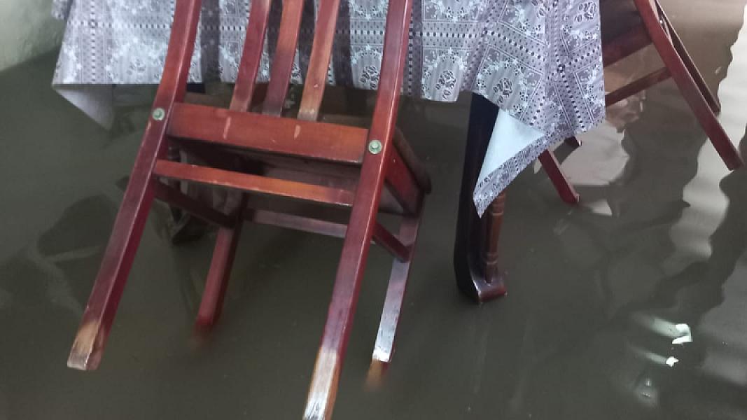 Masallı rayonu Mollaoba kəndi - 19-01-2026 (2)