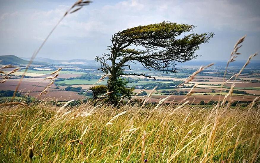 Külək güclənəcək - 