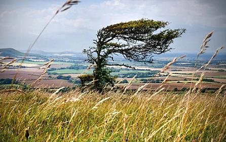 Külək güclənəcək - 