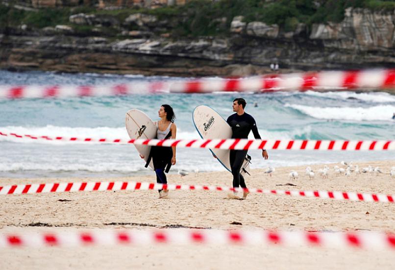 Köpəkbalıqlarının hücumu -