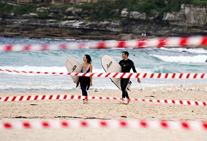 Köpəkbalıqlarının hücumu -