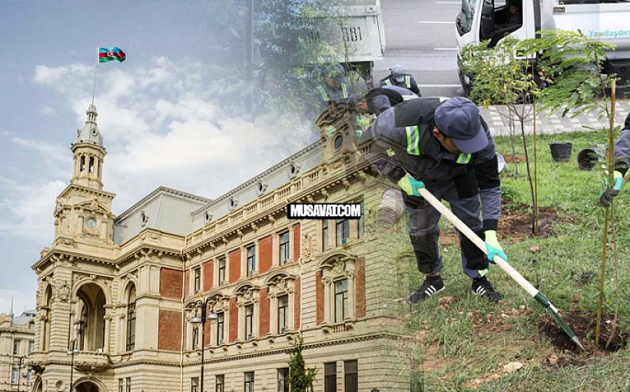 Bakının yaşıllaşdırılmasında ŞOK gizlinlər – Burada hər şeyi ağacların kölgəsi örtür, yoxsa... – 