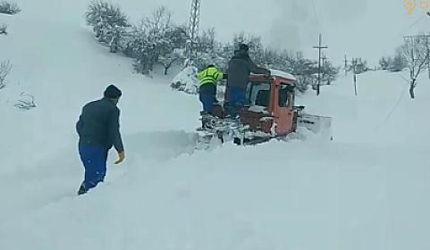 Güclü qar cənubda fəsadlar törətdi - 
