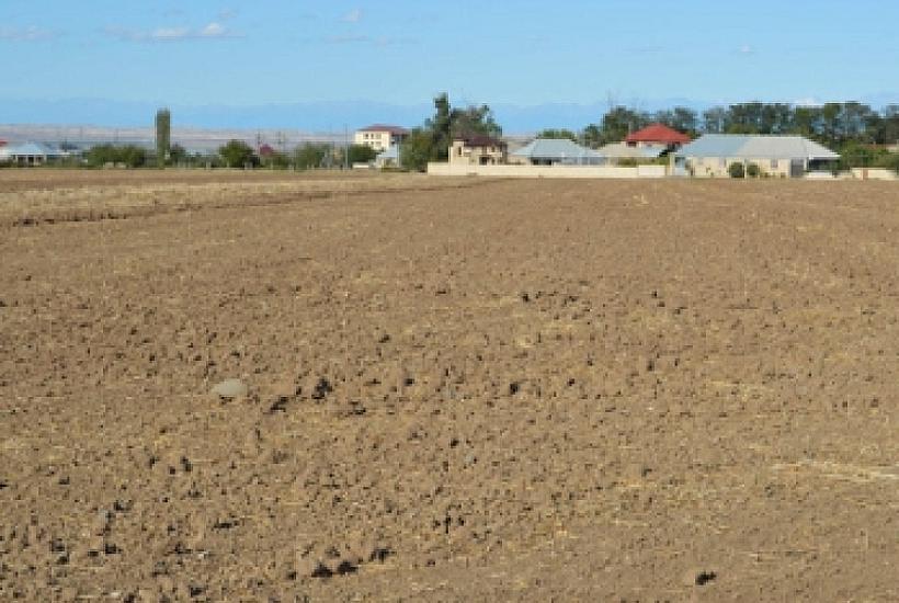 Torpaq sahəsini özbaşına tutanları 