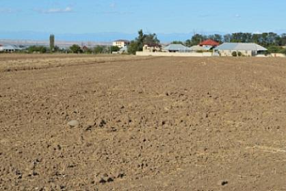 Torpaq sahəsini özbaşına tutanları 