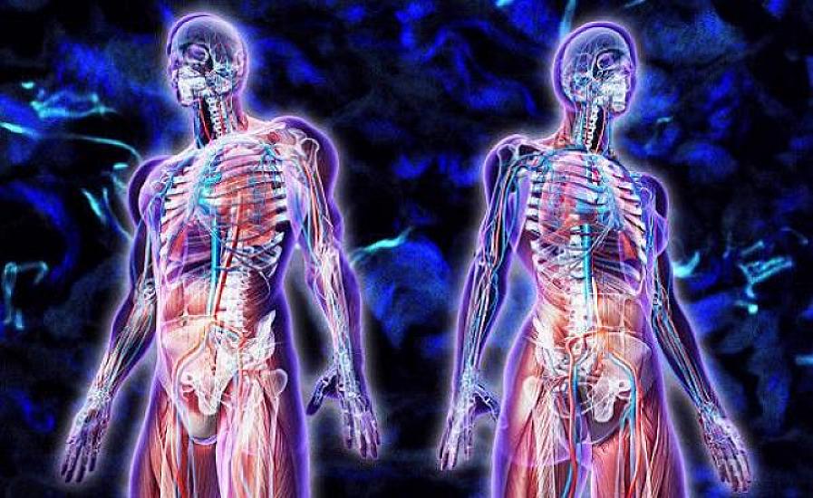 İnsanın gücü neçə yaşından 