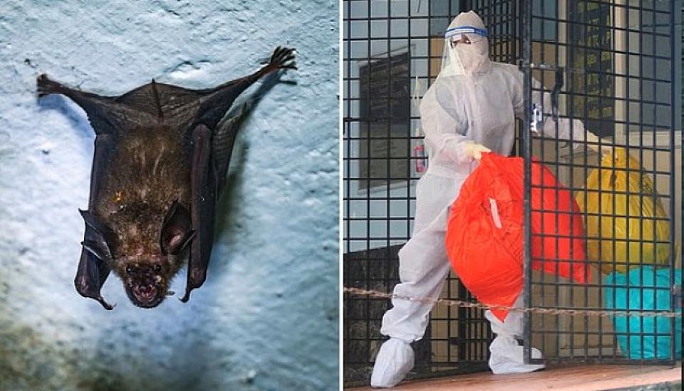 Yeni virus yayılır: 