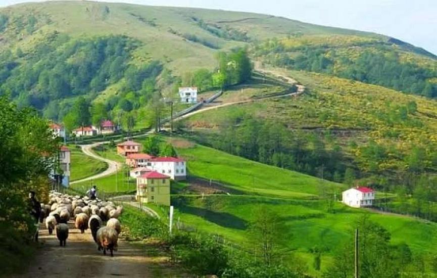 Gənclər bu kəndi tərk edirlər - 