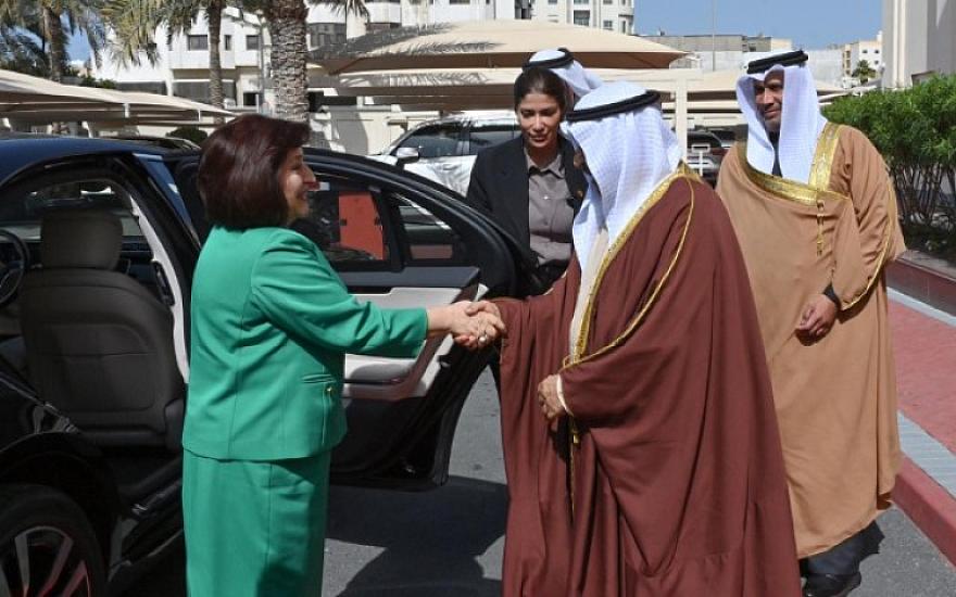 Sahibə Qafarova bəhreynli həmkarı ilə görüşdü - 