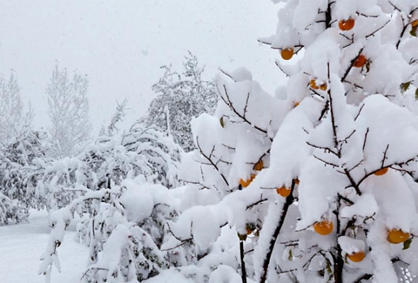 Sabah hava necə olacaq? - 