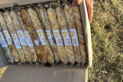 Bu məhsullarda göbələk kifi 