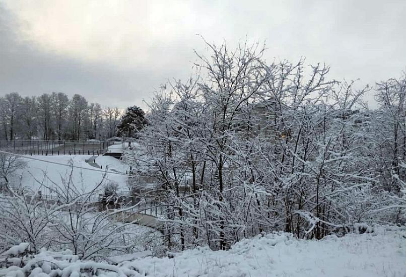 Bəzi rayonlarda qar yağacaq, yollar buz bağlayacaq - 