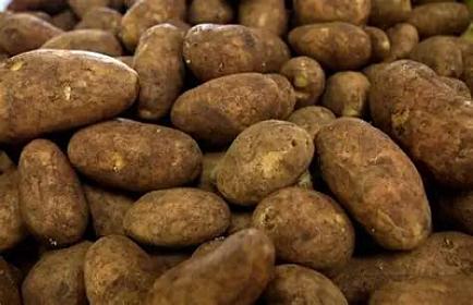 Technical potatoes sold in markets: How can buyers distinguish them?