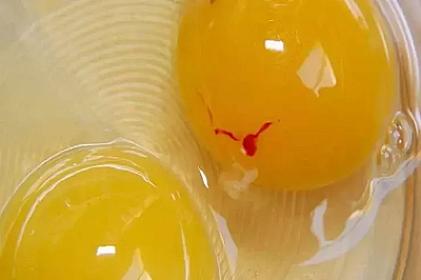 Sarısında qırmızı ləkə olan yumurta 