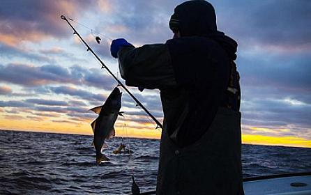 Neftçalada FACİƏ: 