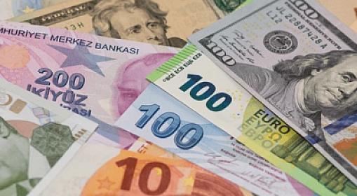 Azərbaycanda valyuta məzənnələri yanvar ayı ərzində necə dəyişib?