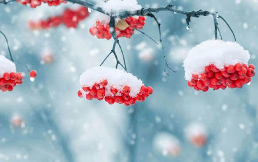 Fevralın havası AÇIQLANDI: 