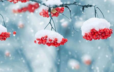 Fevralın havası AÇIQLANDI: 