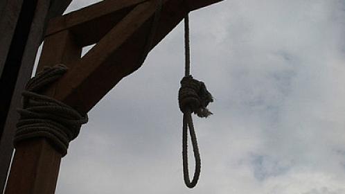 "Fırıldaq düşərgələri"nin təşkilatçıları 