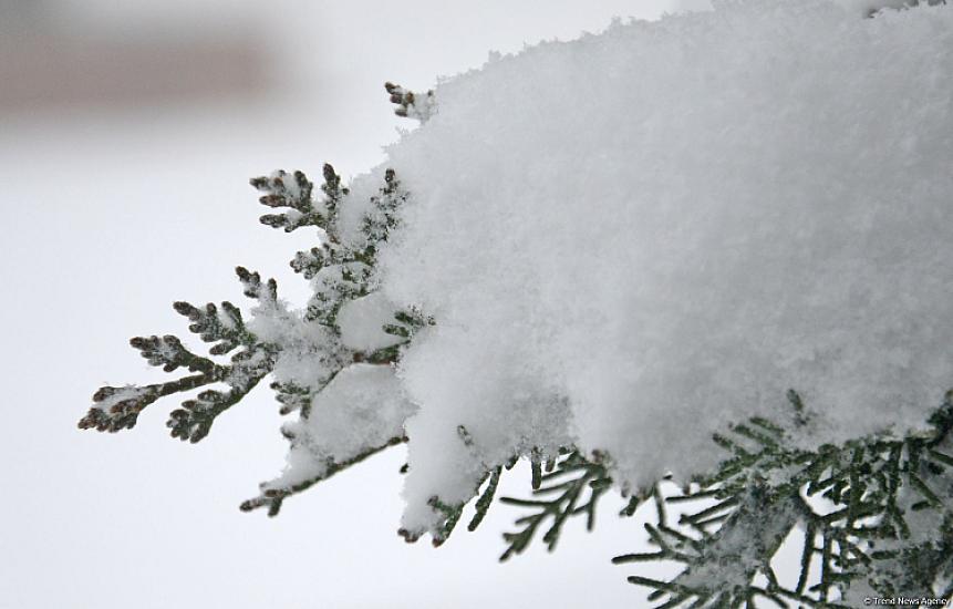 В Баку пойдет снег -