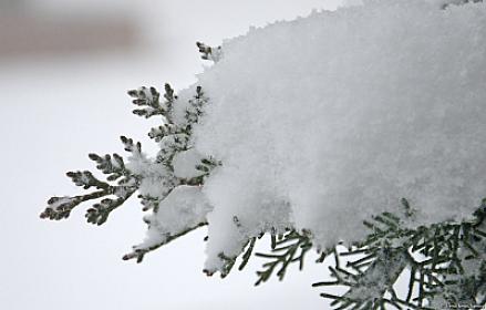 Bakıya qar yağacaq - 