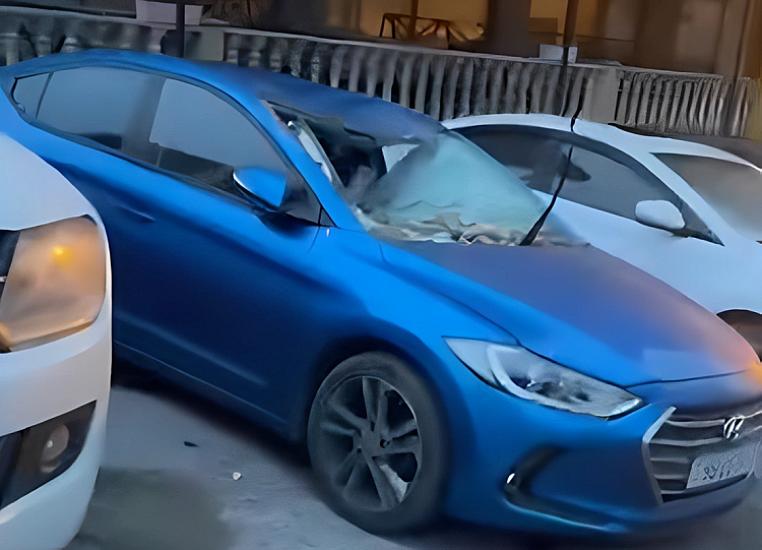 Bakıda güclü külək fəsadlar törətdi: 