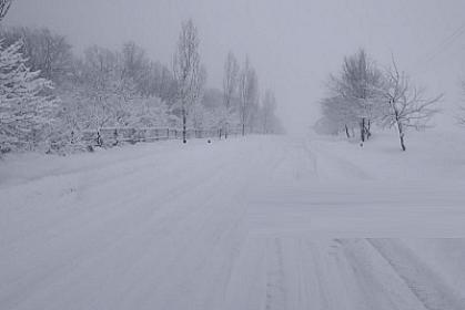 The number of deaths due to heavy snowfall has increased -  In this country
