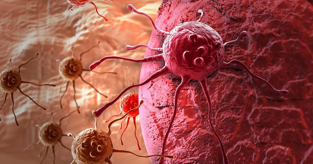 Xərçəngə səbəb olan pəhriz –