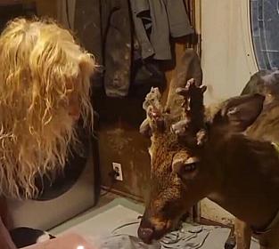 12 il baxdığı maral qadını parçalayıb öldürdü - 