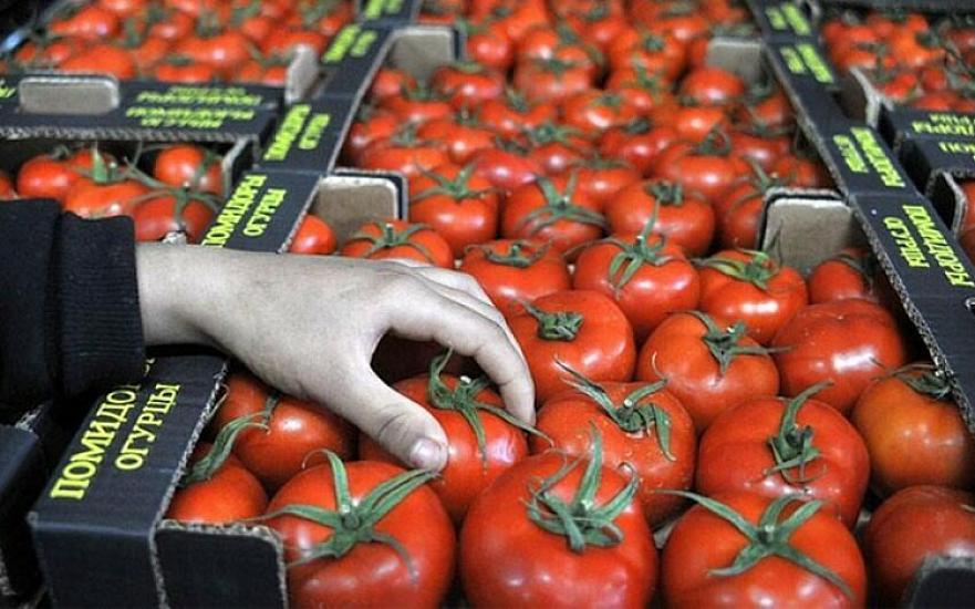 Pomidor indi yaydakından ucuzdur - 
